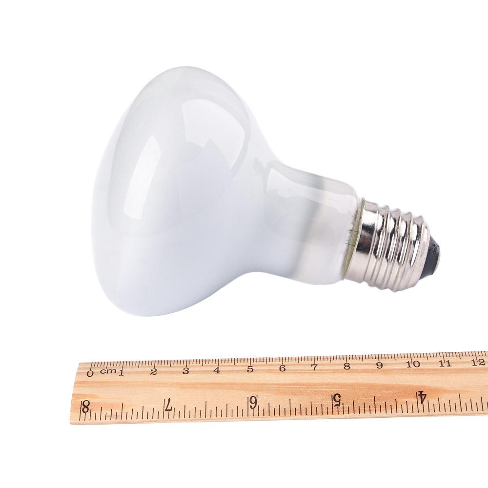 Lizard Heater Heat Lamp UVA Li - Basking Bulb Halogen 评论和价格