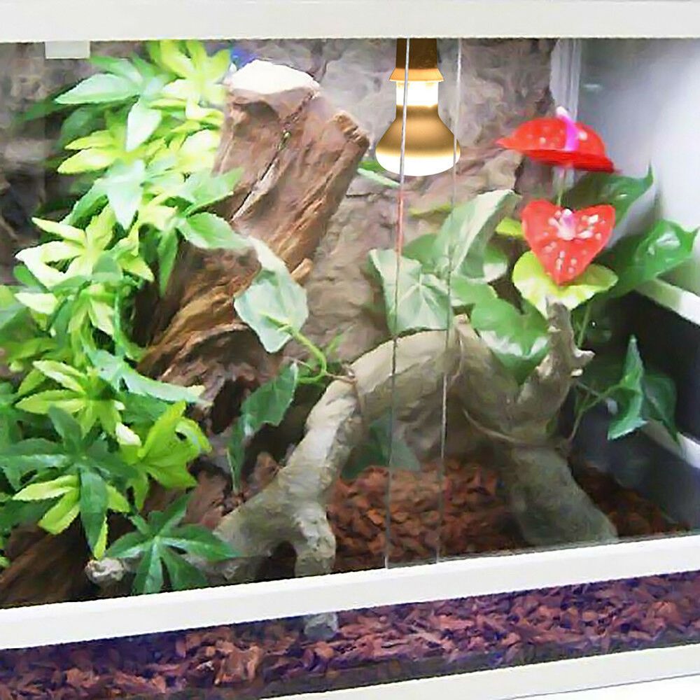 Lizard Temperature Controller  - Basking Bulb Halogen 评论和价格