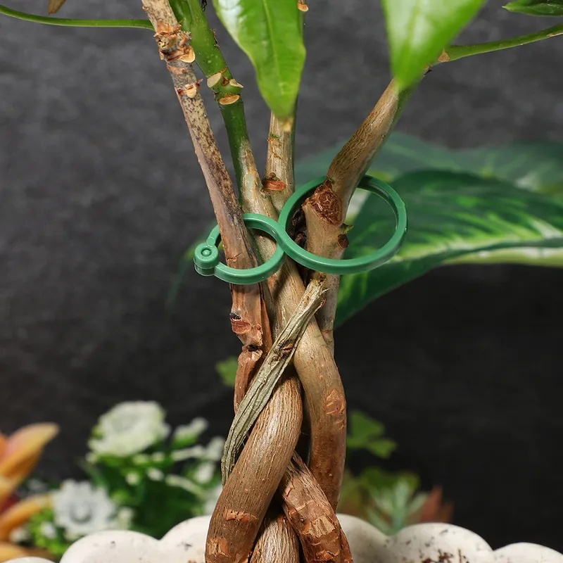 50-400Pcs Plant Support Clips  - Vine Climbing Plastic 评论和价格