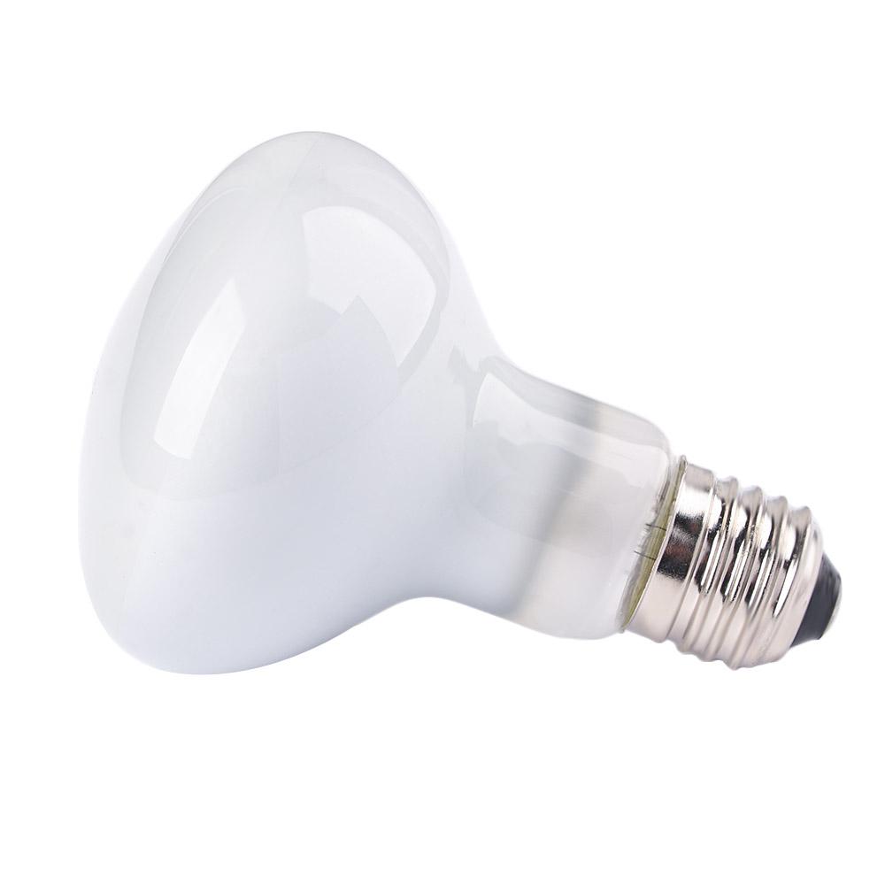 Amphibians Heater Heat Lamp UV - Basking Bulb Halogen 评论和价格