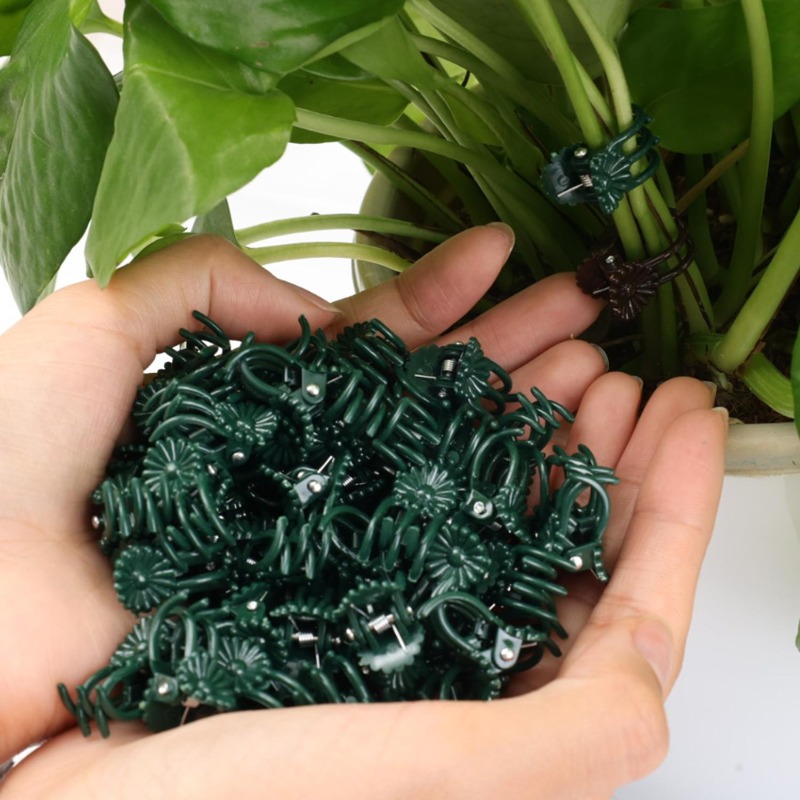 Wholesale Mini Plant Support C - Vine Climbing Plastic 评论和价格