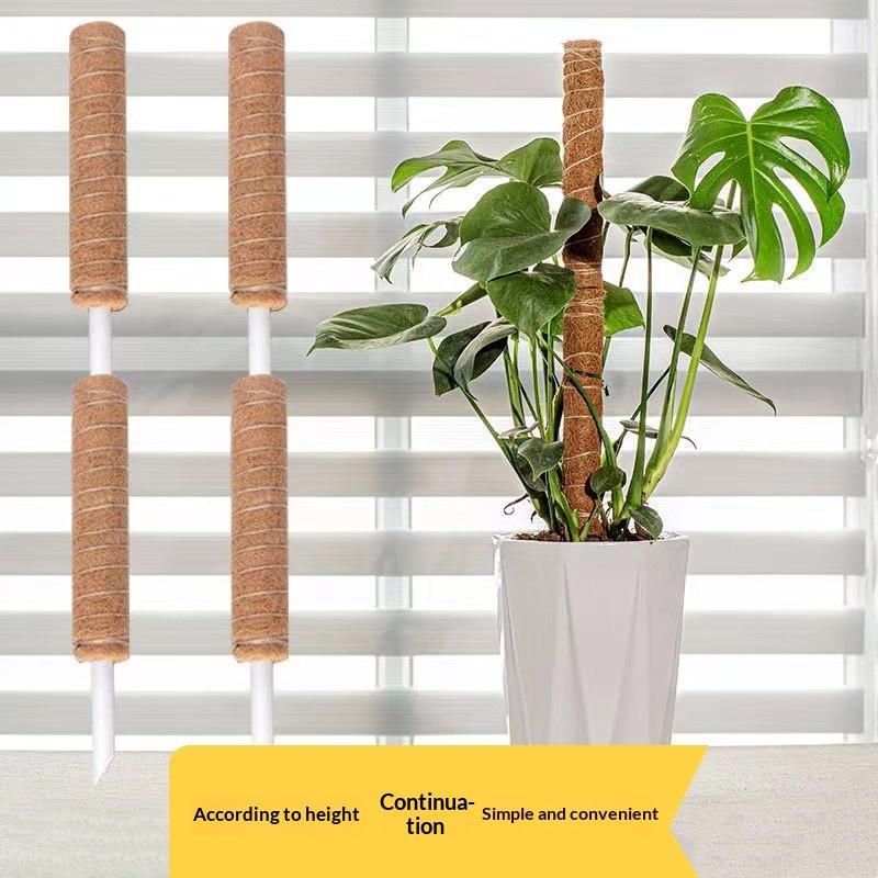 1Pcs Plant Growth Traction Rod - Vine Climbing Plastic 评论和价格