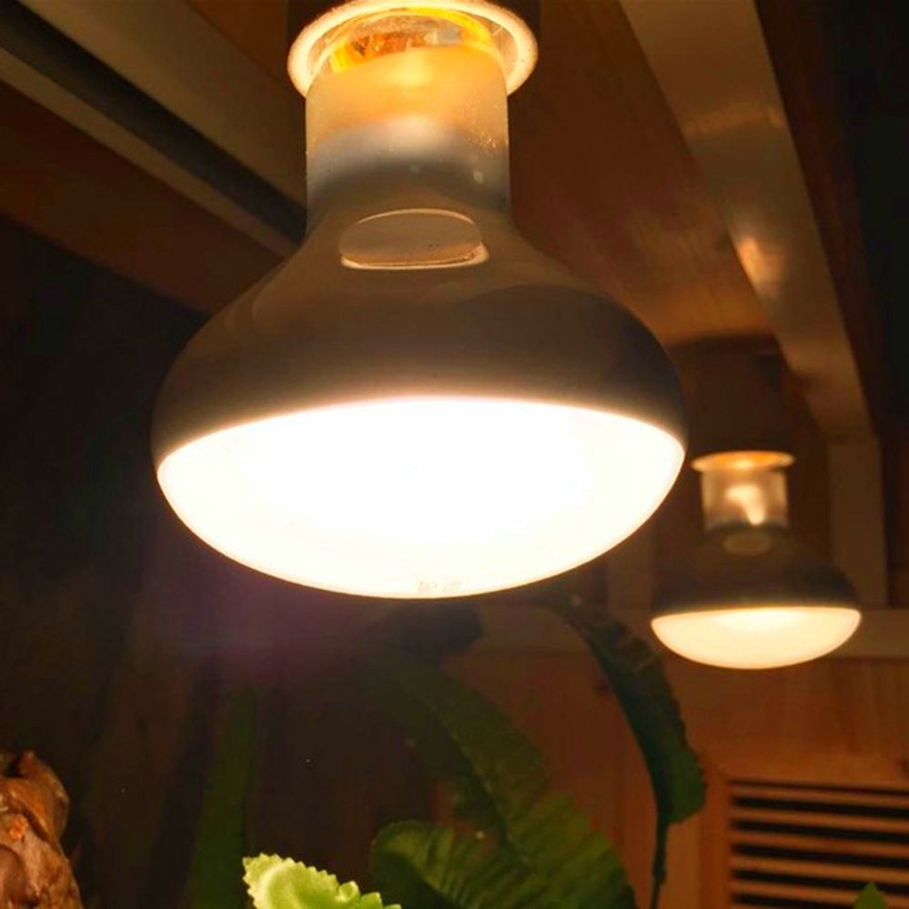 Amphibians Temperature Control - Basking Bulb Halogen 评论和价格