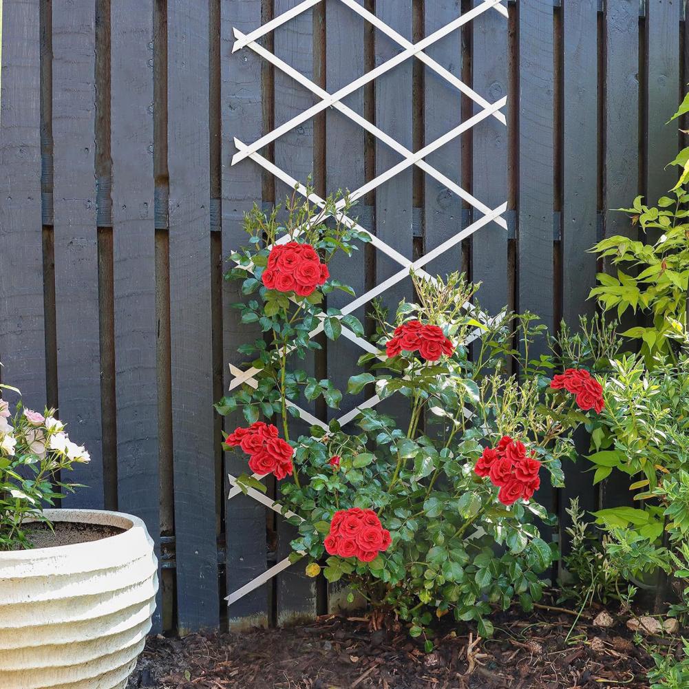 Expandable Garden Trellis 70 x - Vine Climbing Plastic 评论和价格