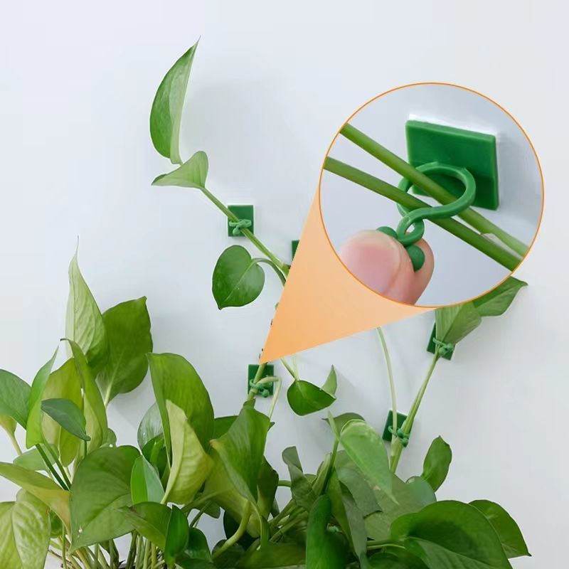 Self‑Adhesive Plant Climbing W - Vine Climbing Plastic 评论和价格