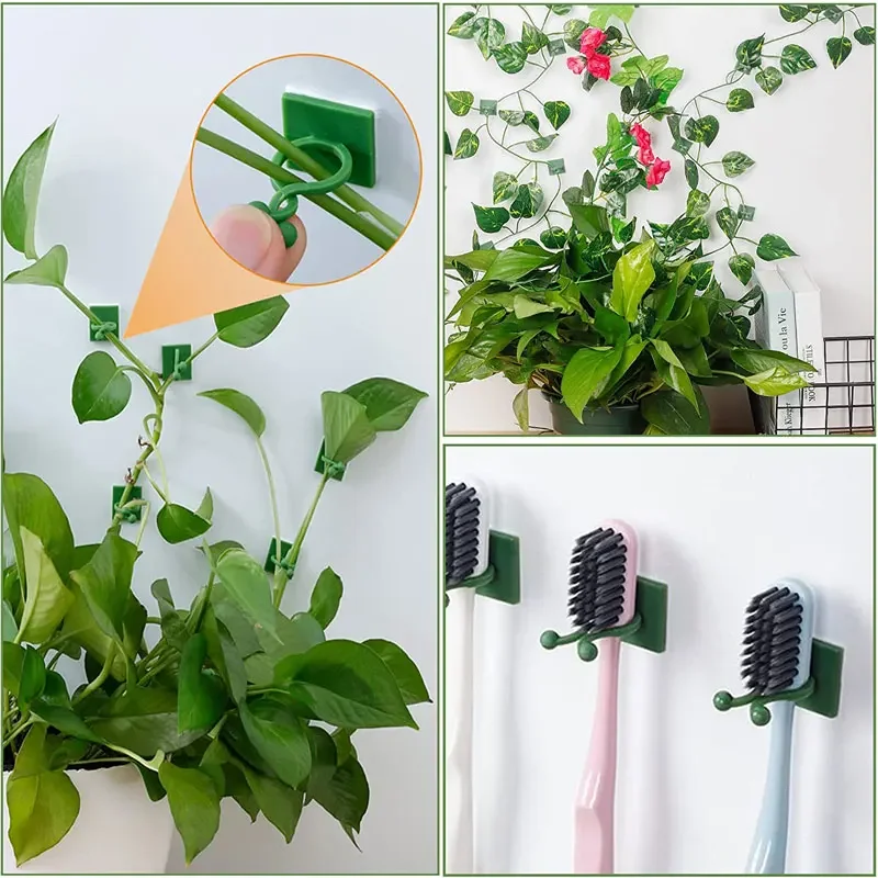 1/30/50Pcs For Garden Accsesor - Vine Climbing Plastic 评论和价格