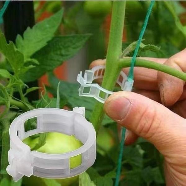 500Pcs Plastic Plant Support C - Vine Climbing Plastic 评论和价格