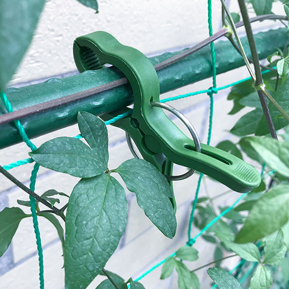 60Pcs Garden Plant Clips Plast - Vine Climbing Plastic 评论和价格