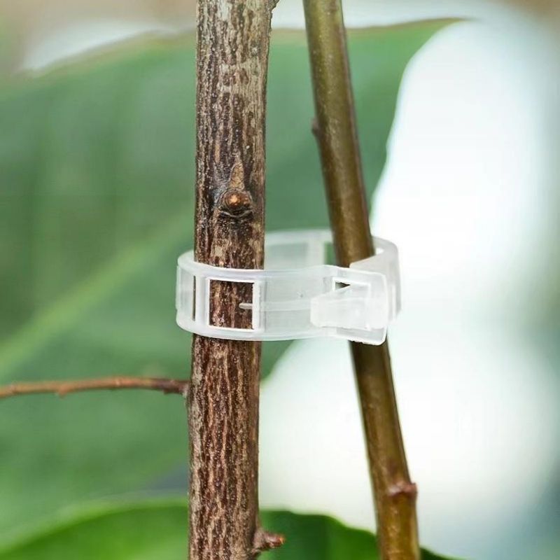 Plastic Plant Support Clips Re - Vine Climbing Plastic 评论和价格