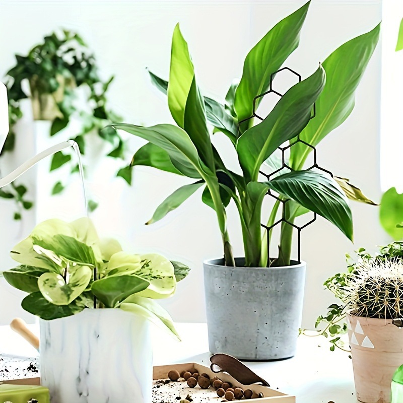 1PC Honeycomb Design Plant Tre - Vine Climbing Plastic 评论和价格