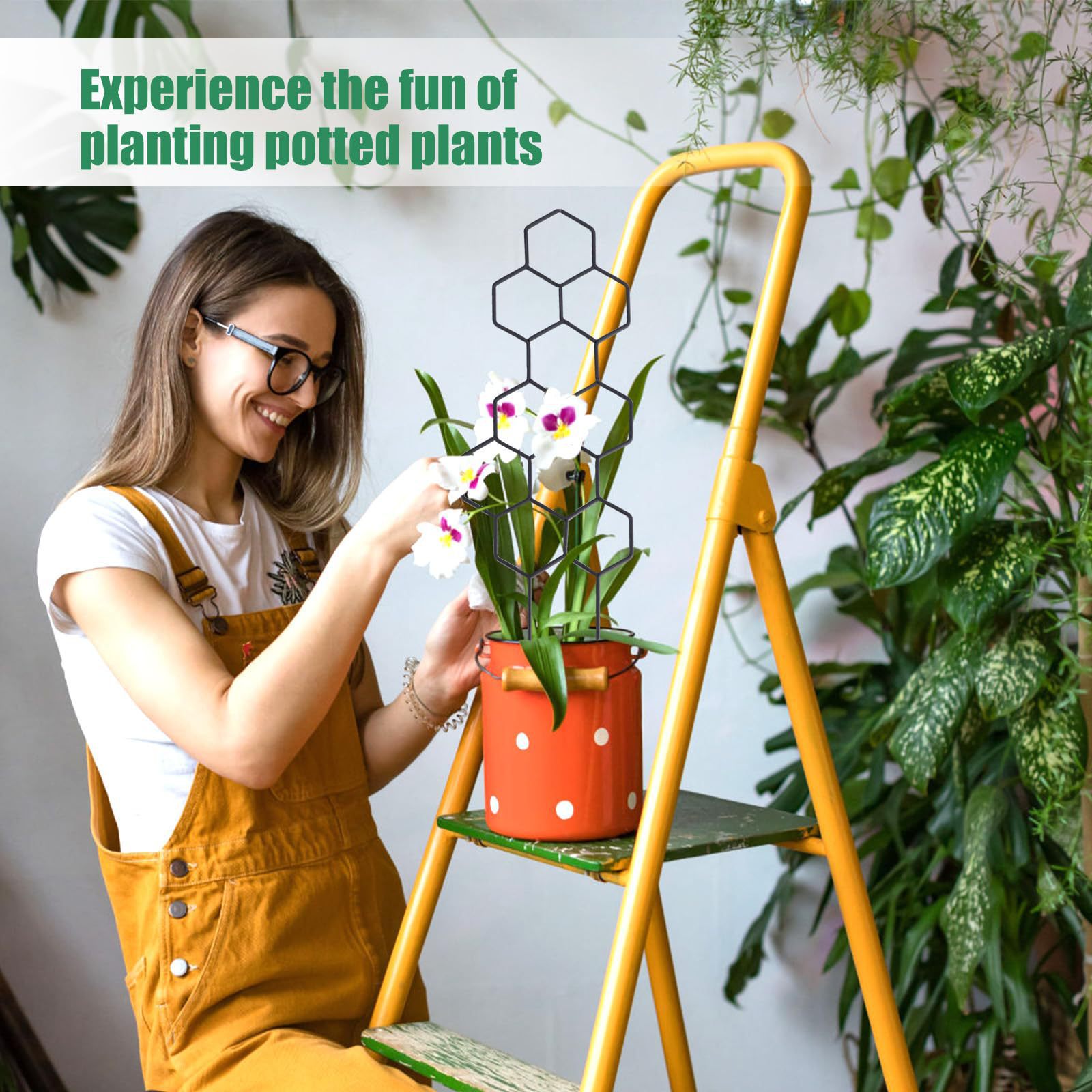 1PC Honeycomb Design Plant Tre - Vine Climbing Plastic 评论和价格